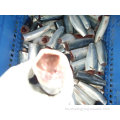 Mackerel congelado HGT Scomber Japonicus Pacífico Pescado